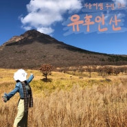 [후쿠오카 가을 여행지 추천] 유후인과 벳부 사이에 있는 갈대 명소 유후산 등산로 가는 방법 #유후인산 #여자 혼자 해외여행