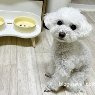멍템| 헬로우펫 라운딩 테이블 반려동물 도자기 밥그릇 / 높이선택가능한 애견 식탁 / 강아지 밥그릇 테이블
