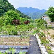 농업용 부직포 제초매트로 꽁꽁 싸맨 쬐그만 밭