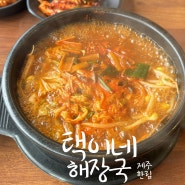 [제주 제주시 | 택이네 해장국] 한우 국밥. 한림 맛집. 제주 도민맛집.