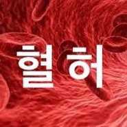 [혈허증] 혈허 증상과 원인