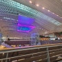 인천공항 제2터미널 대한항공 방콕