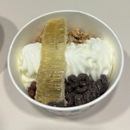[평택] 요아정 요거트아이스크림의 정석 꿀조합 추천