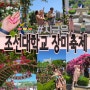 광주 아이와 가볼만한곳 조선대학교 장미축제(ft.일품자금성)