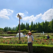 5월 인천 드라이브 코스 갈만한곳, 인천대공원 장미공원, 장수동 은행나무, 초원에서, 분아뜰리에