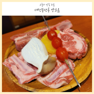 대전 둔산동 양고기 맛집 데이트코스 양소유