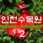 인천수목원 둘러보기(2)-봄꽃과 약용식물