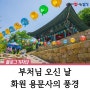 부처님 오신 날 용문사의 활기찬 모습 소개 :: 대구 달성군 불교사찰