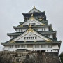 일본 오사카 가볼 만한 곳 오사카성 가는 법 뱃놀이 로드 트레인 주유패스