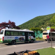 충주 여행버스 뚜벅이 마을버스 시간표 및 정보 (+활옥동굴)