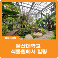 [블로그 기자] 울산대학교 식물원에서 힐링