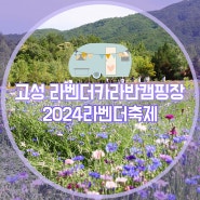 [고성 라벤더 카라반] 라벤더 축제 차로 5분! 라벤더 고성 마을 도보 10분, 캠핑의 성지 고성에서 만나는 카라반 캠핑장