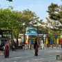 [과천 가볼만한 곳] 서울대공원 동물원 방문 후기