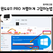 Windows 11 PRO 저렴하게 구입하는 방법 SCDKey