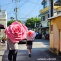 큰 사이즈 장미 대형 꽃 빅 자이언트 플라워 제작하는 가온누리공방