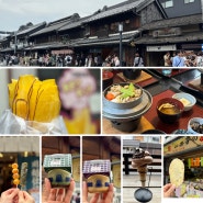 일본 도쿄 근교여행 / 가와고에 여행기(라고 쓰고 먹는 여행)