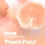 2024년 올해의 컬러 Peach Fuzz :: 대구그래픽디자인학원