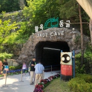 충주 활옥동굴 방문후기 (+예약, 입장권 가격, 할인)