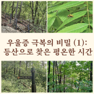 우울증 극복의 비밀(1): 등산으로 찾은 평온한 시간