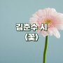 김춘수 꽃 아름답게 빛나는 특별한 존재가 되는 순간!