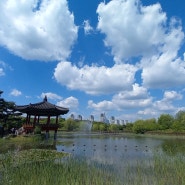 대전 한밭수목원 (24. 5. 8. 방문)
