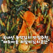 김치추천"태초마을 외할미김치곳간"에서 김치 두번시켜먹은후기 총각김치찐맛집