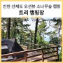 [인천 선재도] 트리캠핑장 - 오션뷰 소나무숲 캠핑 - C12, C13 데크 이용 후기