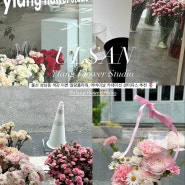 울산 성남동 꽃집 일랑플라워 카네이션 센터피스 선물