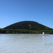 제주도 볼거리 많은 관광지 제주 돌문화공원 하늘연못 외 다양한 코스