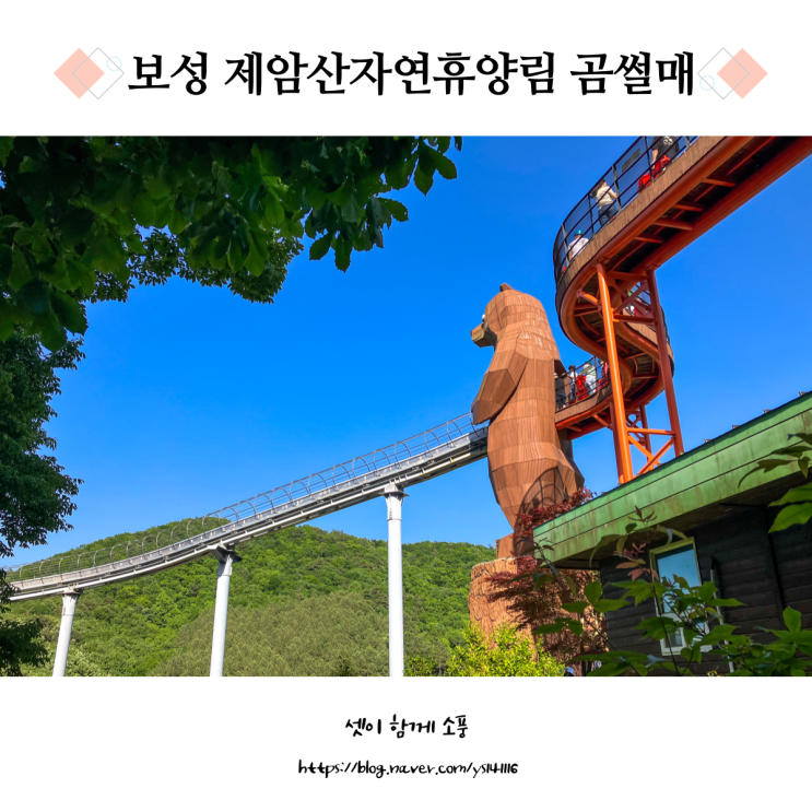 보성 제암산 자연휴양림 숲속 힐링 캠핑 곰썰매 예약 tip