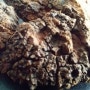 차가버섯 복용법 차가버섯 부작용
