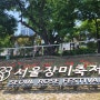 서울가볼만한곳 2024 중랑 서울장미축제 중랑장미공원