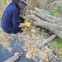 참나무로 표고버섯 키우기