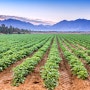 Innovative Israeli irrigation technology to tackle climate change
