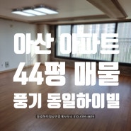 아산아파트-신상♥동일하이빌 44평 매매, 전세♥