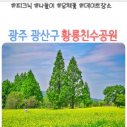 황룡친수공원 유채꽃 명소 광주 광산구 나들이 장소