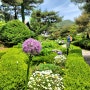 대전 근교 여행 가볼만한곳 찜질방 글램핑 식물원 있는 금산 하늘물빛정원