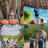 베트남 나트랑 아이랑 가볼 만한 관광지 화란섬, 원숭이섬 일일투어 추천(비용, 준비물)