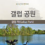 미시간 앤아버 갤럽 공원(Gallup Park)과 주립도서관