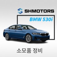 [SH모터스] BMW 530i 엔진, 브레이크, 미션, 디퍼렌셜, T/C의 건강을 책임지는 각종 구동계 오일 정비