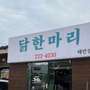 화성 융건릉 맛집 진옥화할매 닭한마리