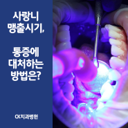 사랑니 맹출 시기와 중요성, 통증이 있다면?