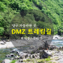 강원도 양구 가볼만한곳 DMZ 트레킹, 펀치볼, 두타연