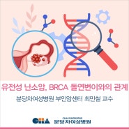 유전성 난소암, BRCA(브라카) 돌연변이가 미치는 영향_분당차여성병원 부인암센터 최민철 교수