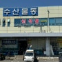 광주 서부농수산물도매시장 갑오징어 회 통찜 킹크랩 대게 맛집 만덕수산