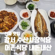 강서 수산시장식당 진짜맛집 어촌식당 내돈내산 리뷰