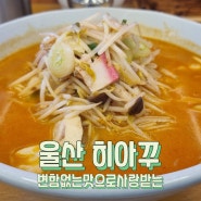 울산 남구 라멘 맛집 국물이 얼큰한 히아꾸