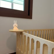[내돈내산]저상형 아기침대 슬로우알레 코이 구매후기