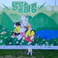 글로벌 6K와 함께하는 2024 댕댕트레킹 후기, 강아지랑 갈만한곳 정선 하이원 강아지 운동장