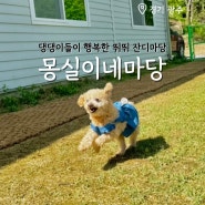 경기광주 애견동반 댕댕신나는 몽실이네마당